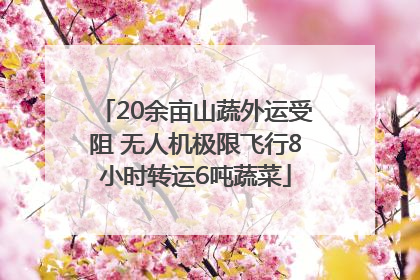 20余亩山蔬外运受阻 无人机极限飞行8小时转运6吨蔬菜